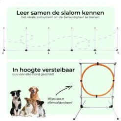 AYOO Agility Voor De Hond - Honden Training - Honden Behendigheid Set - Hondenparcours - Training Huisdieren - Honden Agility Set - Slalom - Horde - Draagzak - Agility Set - Oranje - Wit - GRATIS Speeltouw 17 AYOO Agility Voor De Hond - Honden Training - Honden Behendigheid Set - Hondenparcours - Training Huisdieren - Honden Agility Set - Slalom - Horde - Draagzak - Agility Set - Oranje - Wit - GRATIS Speeltouw -Huisdier Verkoop 1200x1200 1860