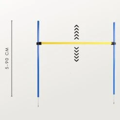 Agility Voor De Hond - Agility Set- Hondentunnel 300 Cm- Slalom Set - Horde - Startveld - Honden Behendigheidsset - 16 Delig - Tunnel - Slalom - Horde - Agility Set Voor De Hond - Agility Set -Huisdier Verkoop 1200x1200 1871