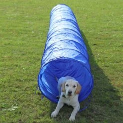 Agility Voor De Hond - Agility Set- Hondentunnel 300 Cm- Slalom Set - Horde - Startveld - Honden Behendigheidsset - 16 Delig - Tunnel - Slalom - Horde - Agility Set Voor De Hond - Agility Set -Huisdier Verkoop 1200x1200 1875