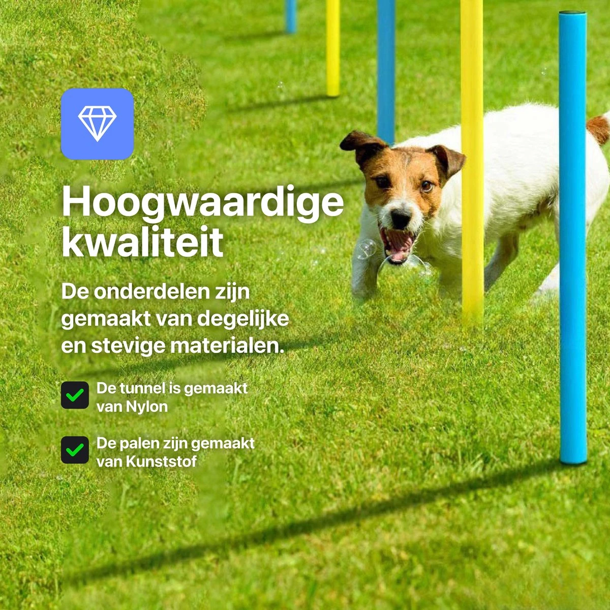 Tavaro Agility Voor De Hond - Honden Training - Hondentunnel - Springhoepel - Horde - Slalom - Honden Behendigheid Trainingsset 6 Tavaro Agility Voor De Hond - Honden Training - Hondentunnel - Springhoepel - Horde - Slalom - Honden Behendigheid Trainingsset - Afbeelding 4