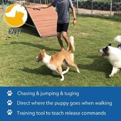 CF Pack - Hond Buitenspeelgoed Actief Behendigheid Touw Dog Flirt Pole Flirtpole Toy Tug Tease Wand Non-Bungee Cord Dog Toy For Fun Obedience Training Extandable Toy Honden Speelgoed Hondenspeelgoed Behendigheidspeelgoed -Huisdier Verkoop 1200x1200 1894