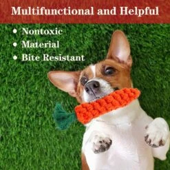 Nobleza Honden Speelgoed Set PLJ - 10 Stuks -Huisdier Verkoop 1200x1200 1904