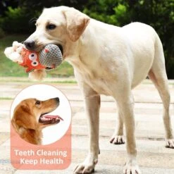 Merkloos Hondenknuffel - Interactief Piepspeelgoed Voor Honden - Teddy - Stoer Hondenkauwspeelgoed - Met Katoenen Materiaal En Gekreukt Papier - Hondenspeelgoed Voor Grote En Kleine Honden 18 Merkloos Hondenknuffel - Interactief Piepspeelgoed Voor Honden - Teddy - Stoer Hondenkauwspeelgoed - Met Katoenen Materiaal En Gekreukt Papier - Hondenspeelgoed Voor Grote En Kleine Honden -Huisdier Verkoop 1200x1200 1932