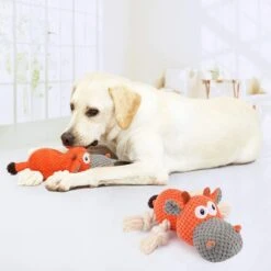 Merkloos Hondenknuffel - Interactief Piepspeelgoed Voor Honden - Teddy - Stoer Hondenkauwspeelgoed - Met Katoenen Materiaal En Gekreukt Papier - Hondenspeelgoed Voor Grote En Kleine Honden 19 Merkloos Hondenknuffel - Interactief Piepspeelgoed Voor Honden - Teddy - Stoer Hondenkauwspeelgoed - Met Katoenen Materiaal En Gekreukt Papier - Hondenspeelgoed Voor Grote En Kleine Honden -Huisdier Verkoop 1200x1200 1933