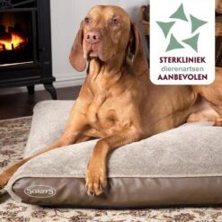 Scruffs Chateau - Hondenbed Orthopedisch Met Memory Foam Voor Extra Steun Voor Rug En Gewrichten - Grijs & Bruin Maat M/L - Kleur: Grijs, Maat: Large -Huisdier Verkoop 1200x1200 1956