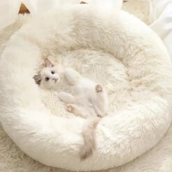 Bonbox Shop - Maat S - Donut Bed In Wit - Dierenmand Voor Katten, Kittens En Kleine Honden - Knus Mandje - Donutbed Diameter 40 Cm - Anti Anxiety -Huisdier Verkoop 1200x1200 2001