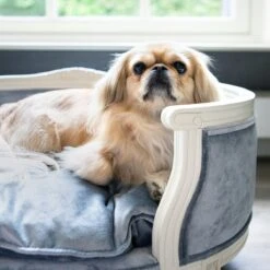 Lord Lou - George Blauw Velvet S - Luxe Hondenmand - Luxe Kattenmand - 49x40x31 -Huisdier Verkoop 1200x1200 2004