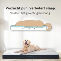 CozySense® - Orthopedisch Hondenkussen - Hondenkussen 60 X 40 Cm - Ook Geschikt Als Benchkussen & Hondenbed - Hondenkussen Bank - Traagschuim - Waterdicht - Wasbare Hoes - Maat S -Huisdier Verkoop 1200x1200 2017
