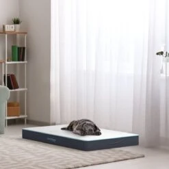 CozySense® - Orthopedisch Hondenkussen - Hondenkussen 60 X 40 Cm - Ook Geschikt Als Benchkussen & Hondenbed - Hondenkussen Bank - Traagschuim - Waterdicht - Wasbare Hoes - Maat S -Huisdier Verkoop 1200x1200 2020