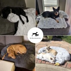 Premium Hondendeken Bank - Hondenkussens - Hondenmand Bank - Hondendeken Voor Op De Bank - Bankbeschermer - Donkergrijs 16 Premium Hondendeken Bank - Hondenkussens - Hondenmand Bank - Hondendeken Voor Op De Bank - Bankbeschermer - Donkergrijs -Huisdier Verkoop 1200x1200 2044