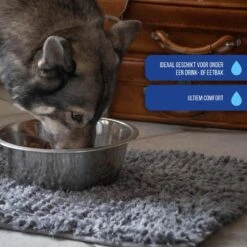 Royal Dry Absorberende Anti-knoeimat Voor Honden – Trekt Vuil Als Een Spons – Laat Geen Vocht Door – 61x45 Cm – Microfiber Chenille – Geschikt Voor Honden En Overige Huisdieren -Huisdier Verkoop 1200x1200 2079