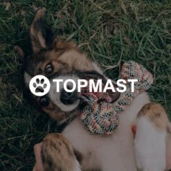 Topmast Waterproof Benchkussen - Nylon - Zwart - 60 X 45 Cm - Benchmat - Benchmatras - Waterafstotend - Hondenkussen -Huisdier Verkoop 1200x1200 2080