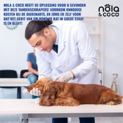 Nola & Coco® Tandsteen Verwijderaar Set Inclusief Bewaardoosje - Tandenkrabber - Set Van Twee - Hond - Kat - Tandenborstel - Tandplak Verwijderen - Tandenstoker - Honden Tanden Schoonmaken - Tandenhaakje - Gebitsreiniging -Huisdier Verkoop 1200x1200 2132