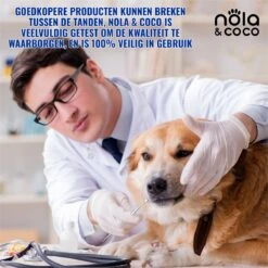 Nola & Coco® Tandsteen Verwijderaar Set Inclusief Bewaardoosje - Tandenkrabber - Set Van Twee - Hond - Kat - Tandenborstel - Tandplak Verwijderen - Tandenstoker - Honden Tanden Schoonmaken - Tandenhaakje - Gebitsreiniging -Huisdier Verkoop 1200x1200 2133