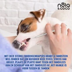 Nola & Coco® Tandsteen Verwijderaar Set Inclusief Bewaardoosje - Tandenkrabber - Set Van Twee - Hond - Kat - Tandenborstel - Tandplak Verwijderen - Tandenstoker - Honden Tanden Schoonmaken - Tandenhaakje - Gebitsreiniging -Huisdier Verkoop 1200x1200 2135