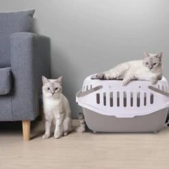 Nobleza 41WSJ - Reisbench - Reismand - Transportbox - 58 X 40 X 42.5 Cm - Grijs -Huisdier Verkoop 1200x1200 2152