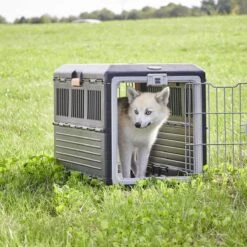 Merkloos Iris Ohyama Inklapbare Reismand Huisdieren FC-670 - Kunststof - Zwart/Oranje -Huisdier Verkoop 1200x1200 2170
