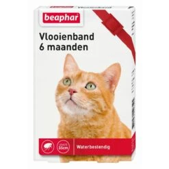 Beaphar Vlooienband Kat - Rood - 1 Stuk -Huisdier Verkoop 1200x1200 2218