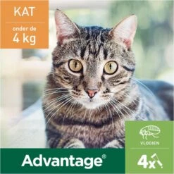 Bayer Advantage 40 Tegen Vlooien - <4kg - 4 X 0,4 Ml - Adult 27 Bayer Advantage 40 Tegen Vlooien - <4kg - 4 X 0,4 Ml - Adult -Huisdier Verkoop 1200x1200 2220