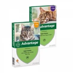 Bayer Advantage 40 Tegen Vlooien - <4kg - 4 X 0,4 Ml - Adult 38 Bayer Advantage 40 Tegen Vlooien - <4kg - 4 X 0,4 Ml - Adult -Huisdier Verkoop 1200x1200 2221