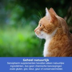 Sensipharm Urologist Aid Voor Kat, Hondje, Cavia, Konijn - Bij Blaasontsteking, Blaasgruis, Struviet, Oxalaat & Nierstenen - 90 Tabletten à 250 Mg -Huisdier Verkoop 1200x1200 2232