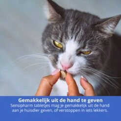 Sensipharm Omniderma Voor Kat, Hondje, Cavia, Konijn - Voedingssupplement Voor Huid En Vacht, Bij Jeuk, Eczeem & Hotspot - 90 Tabletten à 250 Mg 14 Sensipharm Omniderma Voor Kat, Hondje, Cavia, Konijn - Voedingssupplement Voor Huid En Vacht, Bij Jeuk, Eczeem & Hotspot - 90 Tabletten à 250 Mg -Huisdier Verkoop 1200x1200 2239