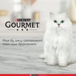 Purina One Purina Gourmet Perle - Mini Filets In Saus - Kalkoen Eend Tonijn & Lam - 40x85g -Huisdier Verkoop 1200x1200 2255