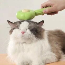 QT Petshop - Haarverwijderaar Voor Huisdieren - Groene Kattenborstel - Furminator Hondenborstel - Anti-Klit - Diervriendelijk - Dierenverzorging -Huisdier Verkoop 1200x1200 228