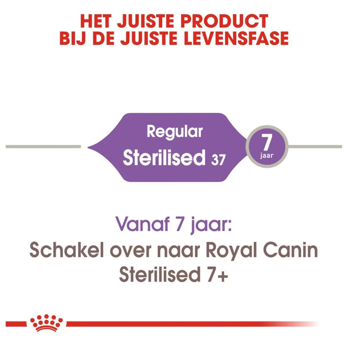 Royal Canin Sterilised 37 - Kattenvoer - 10 Kg 10 Royal Canin Sterilised 37 - Kattenvoer - 10 Kg - Afbeelding 8