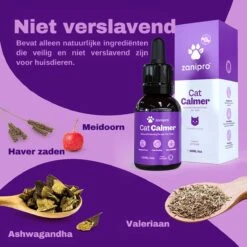 Aerend - Kalmerende Druppels Voor Katten - Anti-stress - Zanipro® 30ml - 100% Natuurlijk Uit Het Verenigd Koninkrijk - Met Ashwagandha & Valeriaan - No Stress Druppels Om Gedragsproblemen Te Verlichten - Voor Thuis En Onderweg 12 Aerend - Kalmerende Druppels Voor Katten - Anti-stress - Zanipro® 30ml - 100% Natuurlijk Uit Het Verenigd Koninkrijk - Met Ashwagandha & Valeriaan - No Stress Druppels Om Gedragsproblemen Te Verlichten - Voor Thuis En Onderweg -Huisdier Verkoop 1200x1200 2299