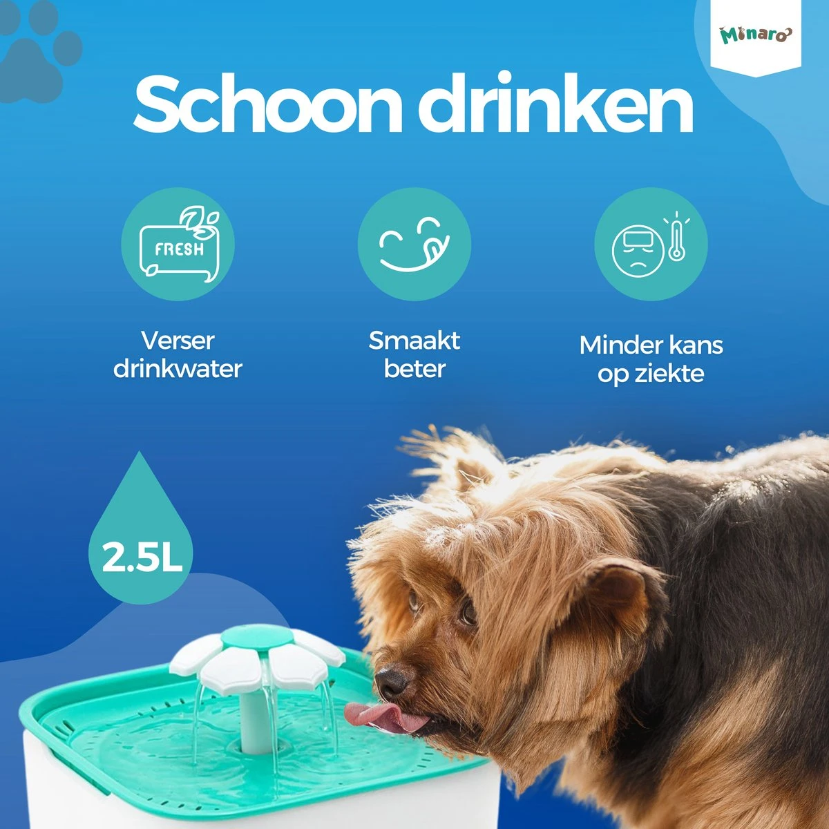 Minaro - Drinkfontein Kat - Drinkfontein Hond & Kat - Inclusief 4 Filters - Kattenfontein - Ultra Stil - Geruisloos - 2.5 Liter - Drinkbak Voor Dieren - Wit & Blauw 6 Minaro - Drinkfontein Kat - Drinkfontein Hond & Kat - Inclusief 4 Filters - Kattenfontein - Ultra Stil - Geruisloos - 2.5 Liter - Drinkbak Voor Dieren - Wit & Blauw - Afbeelding 4