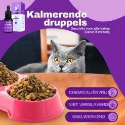 Aerend - Kalmerende Druppels Voor Katten - Anti-stress - Zanipro® 30ml - 100% Natuurlijk Uit Het Verenigd Koninkrijk - Met Ashwagandha & Valeriaan - No Stress Druppels Om Gedragsproblemen Te Verlichten - Voor Thuis En Onderweg 14 Aerend - Kalmerende Druppels Voor Katten - Anti-stress - Zanipro® 30ml - 100% Natuurlijk Uit Het Verenigd Koninkrijk - Met Ashwagandha & Valeriaan - No Stress Druppels Om Gedragsproblemen Te Verlichten - Voor Thuis En Onderweg -Huisdier Verkoop 1200x1200 2301