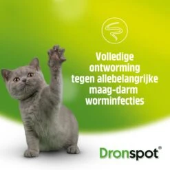 Dronspot Spot On Ontwormingsmiddel Voor Middelgrote Katten (2,5 Kg - 5 Kg) 2 Pipetten 11 Dronspot Spot On Ontwormingsmiddel Voor Middelgrote Katten (2,5 Kg - 5 Kg) 2 Pipetten -Huisdier Verkoop 1200x1200 2323
