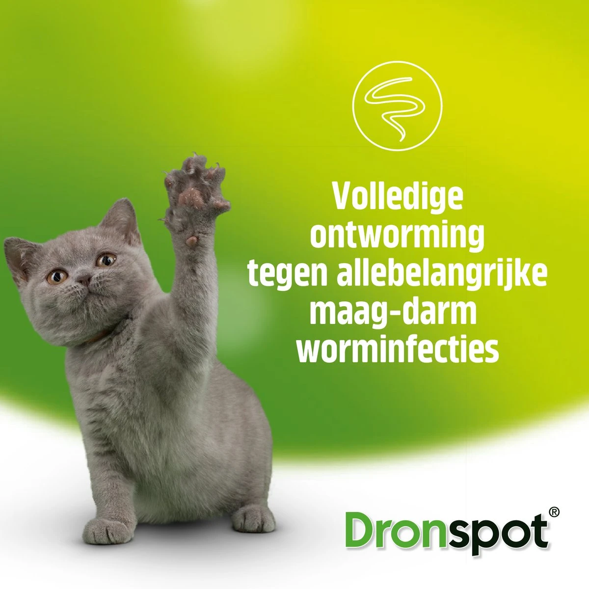 Dronspot Spot On Ontwormingsmiddel Voor Middelgrote Katten (2,5 Kg - 5 Kg) 2 Pipetten 6 Dronspot Spot On Ontwormingsmiddel Voor Middelgrote Katten (2,5 Kg - 5 Kg) 2 Pipetten - Afbeelding 4
