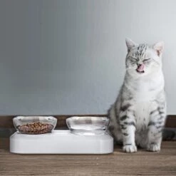 Behave Dubbele Voerbak - Drinkbak - Katten - Verstelbaar - Wit 12 Behave Dubbele Voerbak - Drinkbak - Katten - Verstelbaar - Wit -Huisdier Verkoop 1200x1200 2377