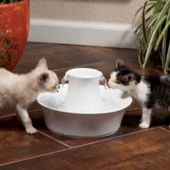 Petsafe Drinkwell Ceramic Avalon - Drinkfontein - 2 L -Huisdier Verkoop 1200x1200 2386