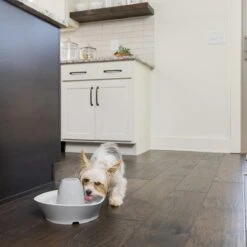 PetSafe® Streamside Ceramic Pet Fountain - Keramische Drinkfontein Voor Katten En Kleine Honden - Water Borrelt Zacht Over De Toren - Door Het Design Van Alle Kanten Bereikbaar - 1,8 Liter - PetSafe Streamside -Huisdier Verkoop 1200x1200 2391