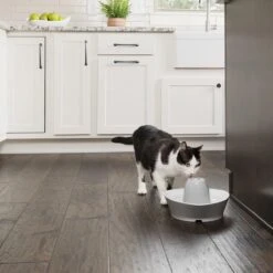 PetSafe® Streamside Ceramic Pet Fountain - Keramische Drinkfontein Voor Katten En Kleine Honden - Water Borrelt Zacht Over De Toren - Door Het Design Van Alle Kanten Bereikbaar - 1,8 Liter - PetSafe Streamside -Huisdier Verkoop 1200x1200 2392