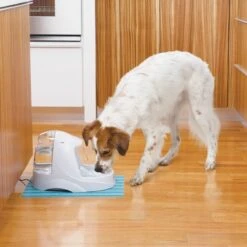 Petsafe Drinkwell Platinum - Drinkfontein - 5 L -Huisdier Verkoop 1200x1200 2406