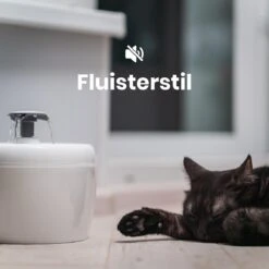 TrevoPet® Drinkfontein Kat - Waterfontein Kat - Kattenfontein - Fluisterstil - Drinkfontein - Drinkbak Kat - 2.5 Liter - Inclusief Filter - Wit 16 TrevoPet® Drinkfontein Kat - Waterfontein Kat - Kattenfontein - Fluisterstil - Drinkfontein - Drinkbak Kat - 2.5 Liter - Inclusief Filter - Wit -Huisdier Verkoop 1200x1200 2410