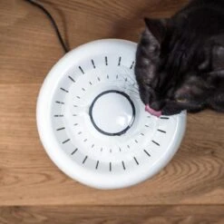 TrevoPet® Drinkfontein Kat - Waterfontein Kat - Kattenfontein - Fluisterstil - Drinkfontein - Drinkbak Kat - 2.5 Liter - Inclusief Filter - Wit 18 TrevoPet® Drinkfontein Kat - Waterfontein Kat - Kattenfontein - Fluisterstil - Drinkfontein - Drinkbak Kat - 2.5 Liter - Inclusief Filter - Wit -Huisdier Verkoop 1200x1200 2412