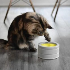 BeOneBreed Intellikatt - Slowfeeder Voor Katten - Voerpuzzel Aanbevolen Door Dierenartsen En Kattengedragsdeskundigen -Huisdier Verkoop 1200x1200 2423