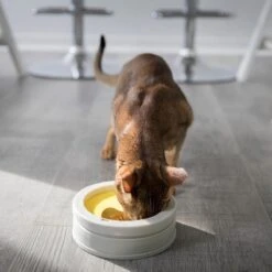 BeOneBreed Intellikatt - Slowfeeder Voor Katten - Voerpuzzel Aanbevolen Door Dierenartsen En Kattengedragsdeskundigen -Huisdier Verkoop 1200x1200 2426