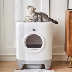 PETKIT Pura X Self-Cleaning Cat Litter Box, No Scooping Automatic Cat Litter Box Fr Multiple Cats, XSecure/Odor Removal/APP Control Automatic Cat Littler Box With Mat -Huisdier Verkoop 1200x1200 2487