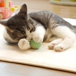 Cheerble | Mini Bal 3.0 | Roze | Zelf Rollende Bal Voor Katten | 3 Automatische Speelmodi | Interactief En Intelligentie Kattenspeelgoed | Kattenspeeltje -Huisdier Verkoop 1200x1200 2495