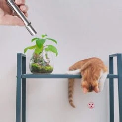 Merkloos Laserpen - Daily Accessoires - USB Oplaadbaar - Kattenspeeltjes - Laserlampje - 7 Verschillende Standen - RVS Zilver - Zaklamp - UV Lamp – Kattenspeelgoed -Huisdier Verkoop 1200x1200 2514