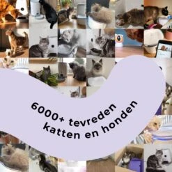 Pettadore - Laser Kattenspeeltjes - Smart Met Autoplay En Handmatig Via App -Huisdier Verkoop 1200x1200 2543