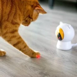 Pettadore - Laser Kattenspeeltjes - Smart Met Autoplay En Handmatig Via App -Huisdier Verkoop 1200x1200 2546