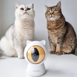 Pettadore - Laser Kattenspeeltjes - Smart Met Autoplay En Handmatig Via App -Huisdier Verkoop 1200x1200 2548