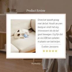 MyBuddy - Interactieve Zelf Rollende Bal - Kattenspeeltjes - Kattenspeelgoed - Bal Voor Katten - LED Lights - Speelgoed - USB - Roze -Huisdier Verkoop 1200x1200 2571